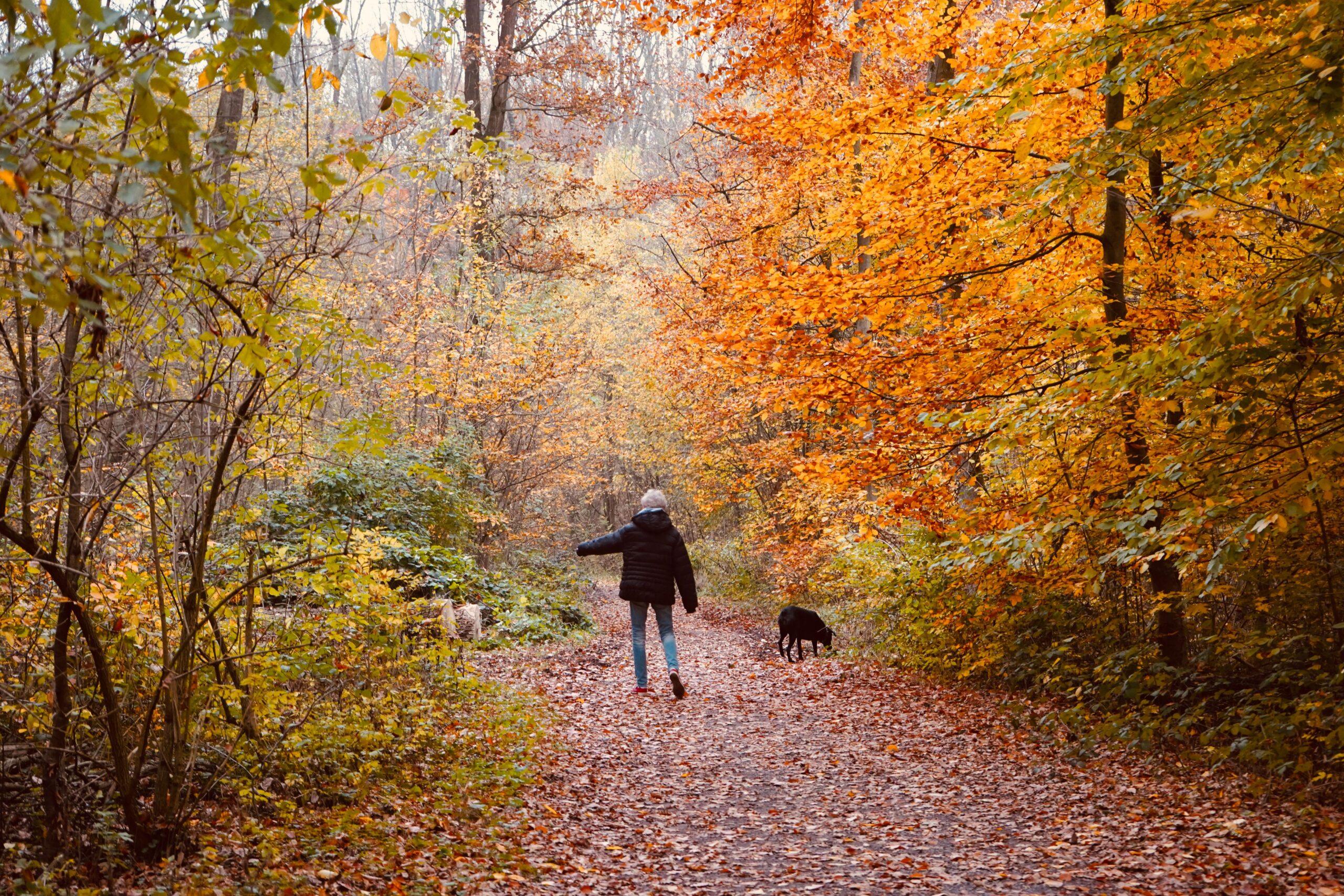 gaature med fibromyalgi