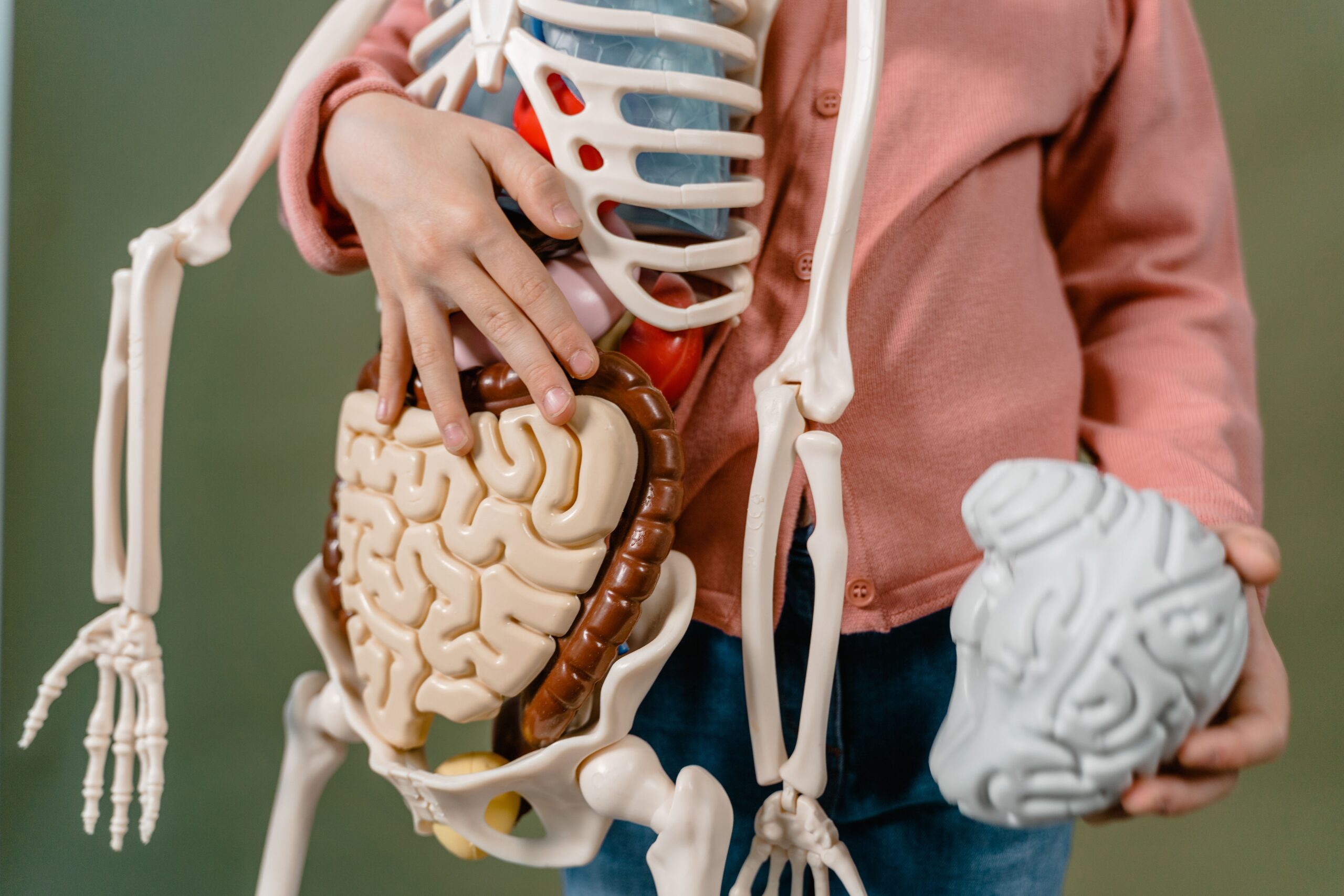 Hvorfor får man fibromyalgi?