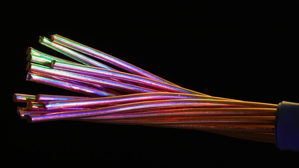 small fiber neuropathy, og hvordan det hænger sammen med brændende fornemmelse i hænder og fødder ved fibromyalgi